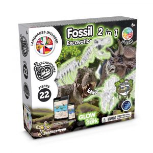 2 in 1 Fossil Excavation Kit I. Lernspiel für Kinder-35823